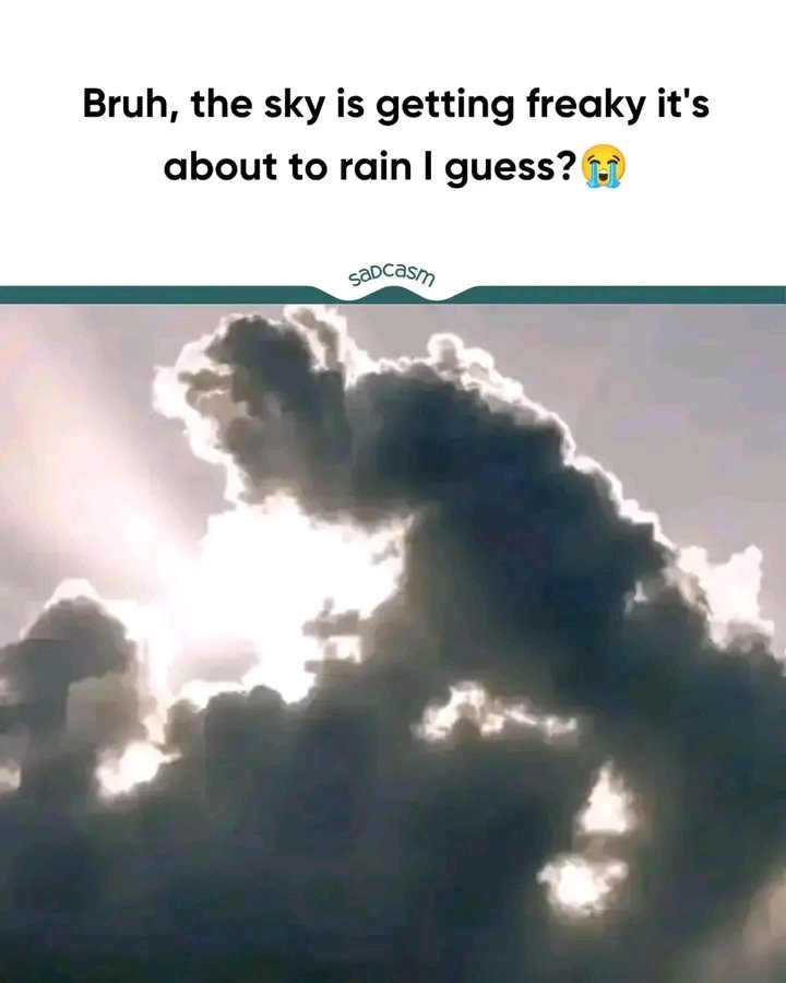 Thatpoorboyy's tweet photo. 😭😭😭😭 https://t.co/QPGlcsPzso