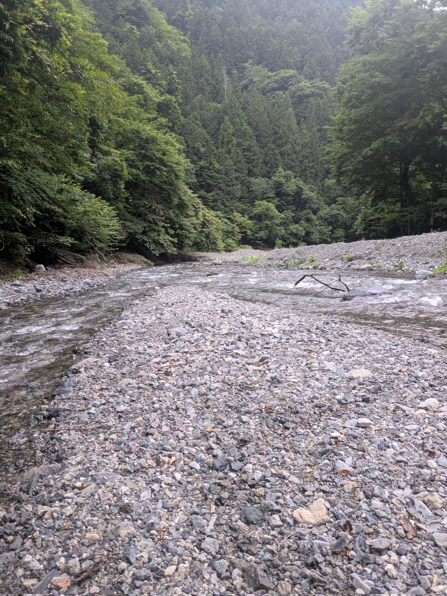 FC60406246's tweet photo. 薄暗くなるまで遊んでます
ヤマメ〜🎣帰ろう🚶 https://t.co/87KPGievRn
