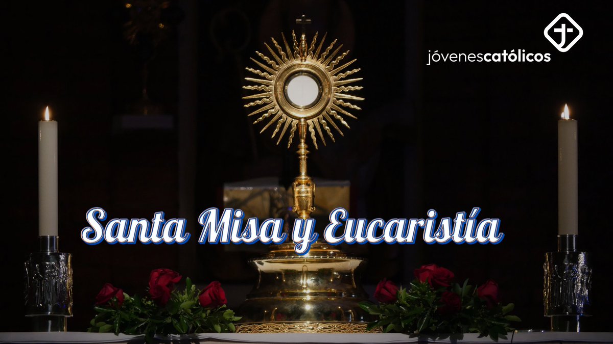 catolicos_es's tweet photo. 📹 Aquí tienes una selección de vídeos sobre Santa Misa y Eucaristía: https://t.co/TeaIbfgbt2 https://t.co/fuUz4quFt8