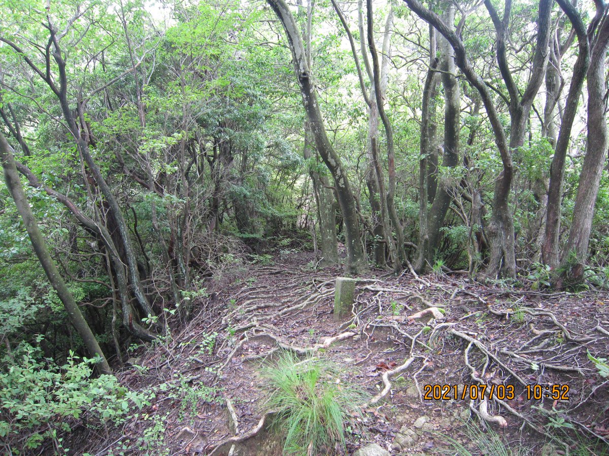 何年か前の今日シリーズ。昔の写真で懐古談。山歩きを再開して9年目ともなると、何年か前の今日は大体ある。写真は5年前の今日。蜂の巣谷東尾根での ...