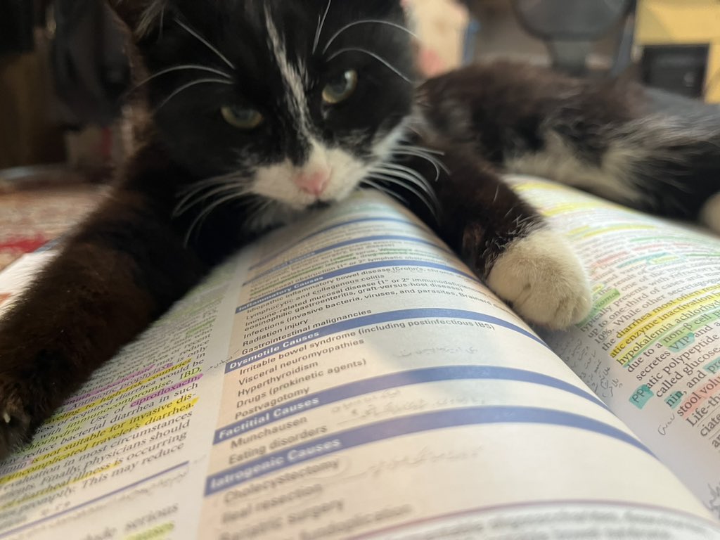 holyvala's tweet photo. Got distracted by a pretty boy while studying. He looks so smart I can’t. https://t.co/cmo0Jto6dZ
