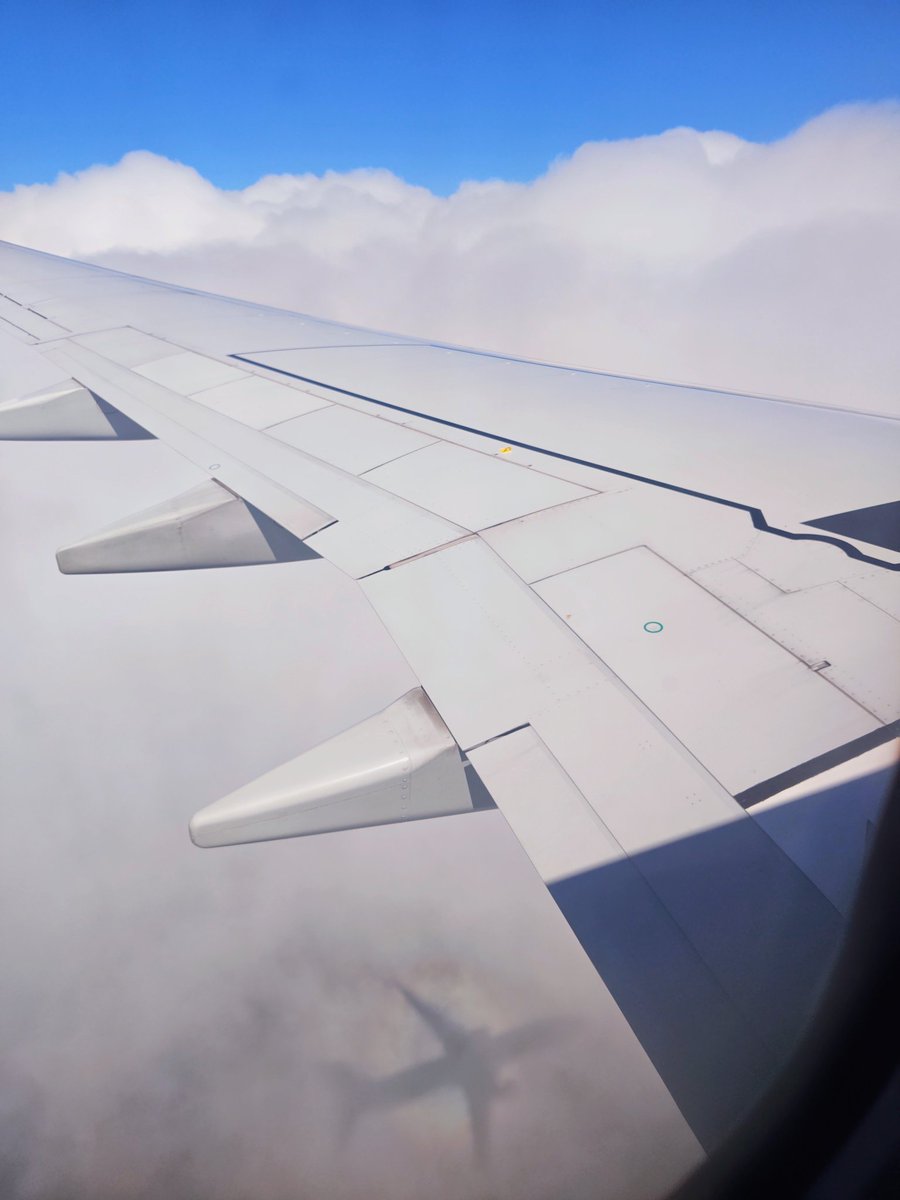 8otRfpPRTHIsFey's tweet photo. JAL羽田空港〜女満別空港行き

飛行機✈の影が雲に映りました♪♪

#JAL 
#女満別空港 https://t.co/S4kbEVGz0o