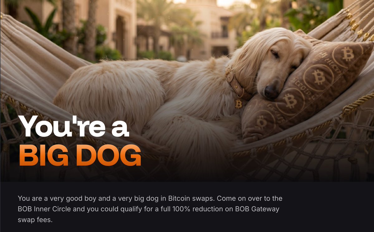 Pkj_btc's tweet photo. 🐕 BIG DOG CONFIRMED

I just checked my wallet on the @build_on_bob BTC Swaps Big Dog Checker - turns out I'm a very big dog indeed. 

Big enough for the BOB Inner Circle and 100% fee-free swaps. 

Are you a big dog? Find out: https://t.co/FOlqr7OGSA https://t.co/8WaMYeXcyV