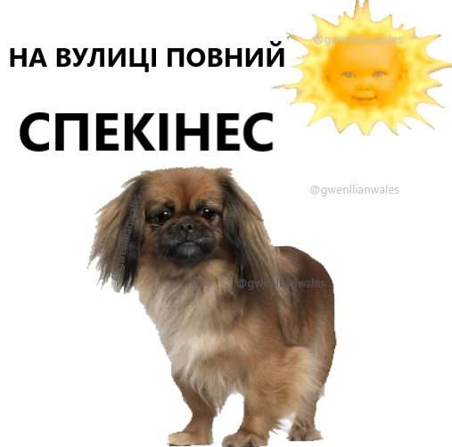 gwenllianwales's tweet photo. Ми зі спекінесом чекаєм на дощщщ https://t.co/ynnYPMaFai