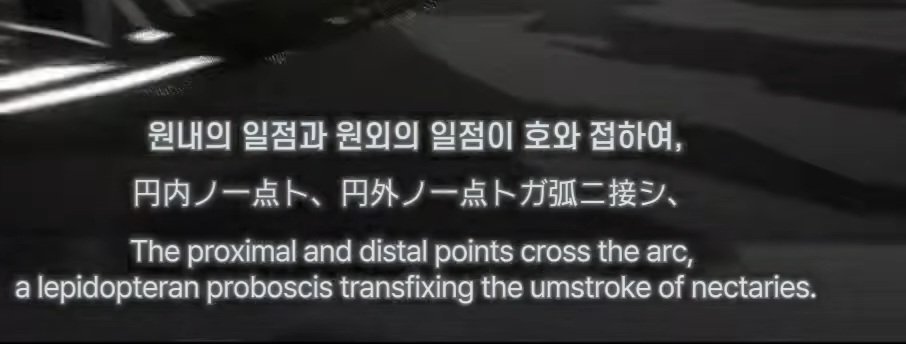 belanvital_1004's tweet photo. These lines are from Yi Sang's poem <Strange Reversible Reaction>. 
Astraightlineconnectingapoint insidethecircleandapoint outsidethecircle
Didthestraightlinemurderthecircle https://t.co/py1mnDfkE5