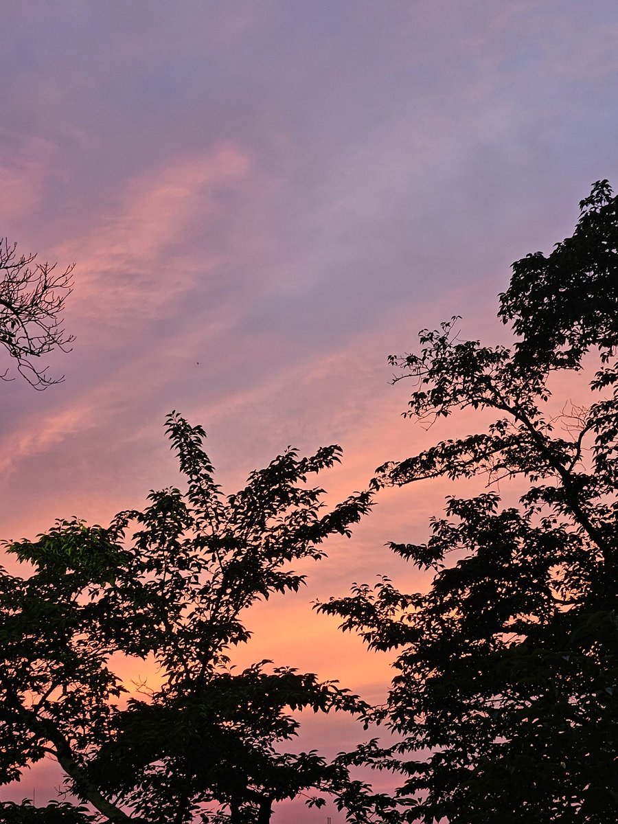koudon7's tweet photo. #イマソラ https://t.co/vqh1P3mfr3