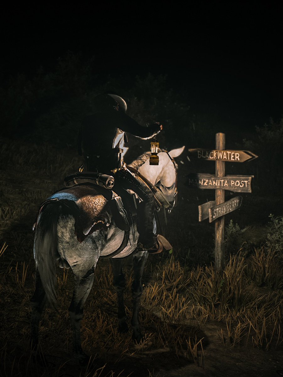 smoke_gaming55's tweet photo. Red Dead Redemption 2
_____________________________
Road to Blackwater 🖤
#reddeadredemption2 #virtualphotography https://t.co/cYOCay0yw7