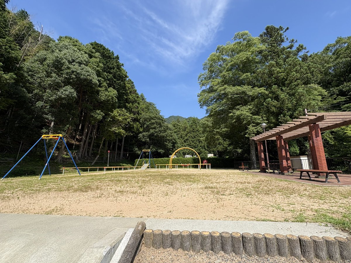 nmuhh_0806's tweet photo. 謎にメンタル終わり散らかして前日に有給を取りドライブがてら神社公園に行ってた
神社の小池に亀さんいてちょっと癒された…🐢日向ぼっこ暑くない？今日ちょい暑だよ https://t.co/w2BcsFTLbo