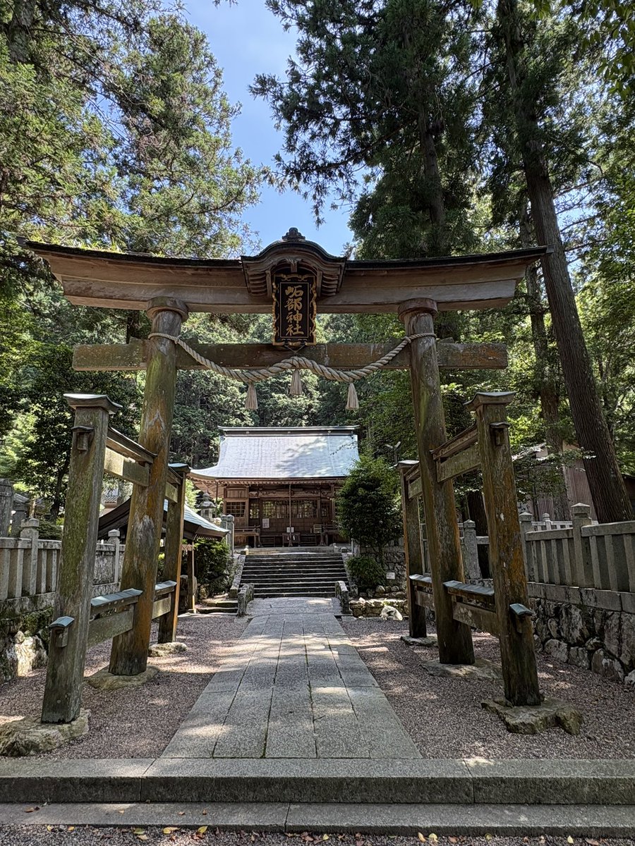 nmuhh_0806's tweet photo. 謎にメンタル終わり散らかして前日に有給を取りドライブがてら神社公園に行ってた
神社の小池に亀さんいてちょっと癒された…🐢日向ぼっこ暑くない？今日ちょい暑だよ https://t.co/w2BcsFTLbo