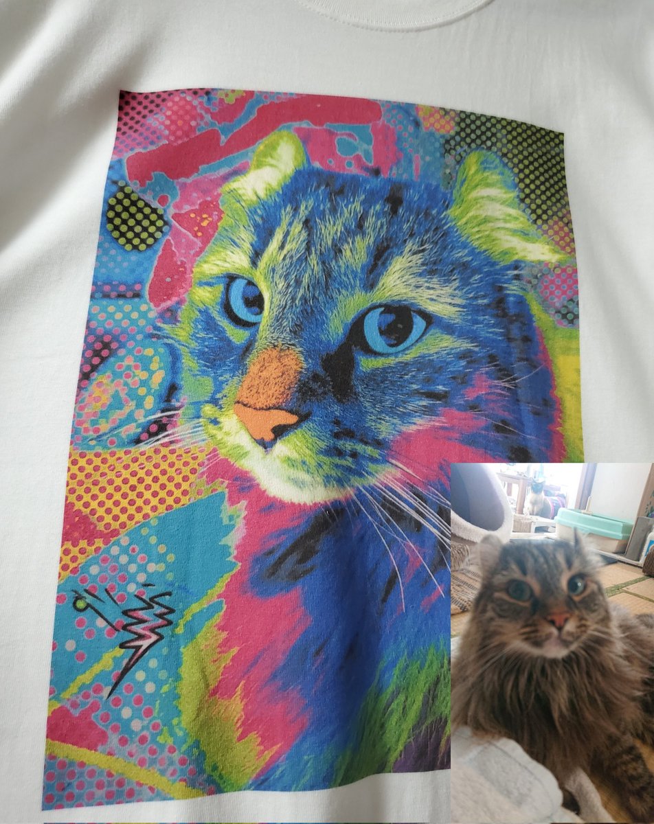 NUKOmofux2's tweet photo. オレちゃんのTシャツ作った(笑)
親バカバンザーイ✧ \( °∀° )/ ✧

 #猫好きさんと繋がりたい
 #猫がいる生活 https://t.co/ehN5FYnbWP