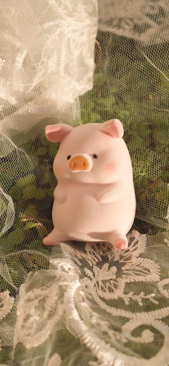 theyonibox's tweet photo. 🌻 ☺️ 🥀 💗 Most people want results, but discipline creates freedom. make your routine harder to break. https://t.co/qjpvATYNDy