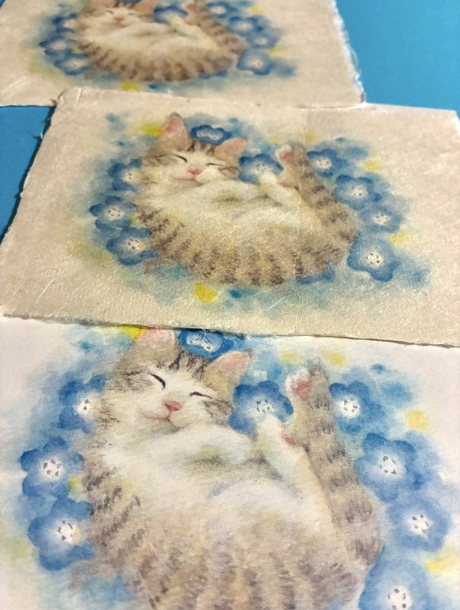新たな水彩画 ネモフィラと、 灰トラの眠り猫ちゃんも ぽち袋やカード