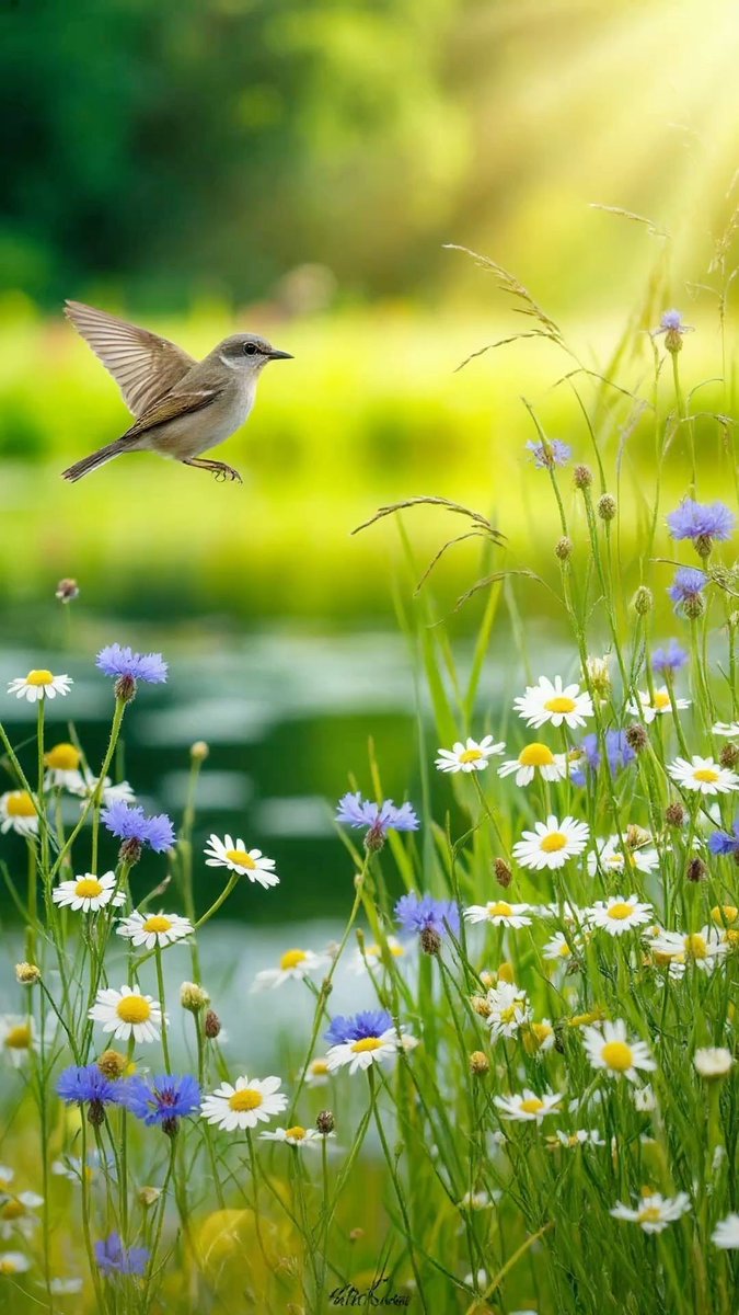 ramblingsloa's tweet photo. It’s Friday 
Wishing you a great day
And a very happy weekend 😊 https://t.co/tuUsMBdkxu