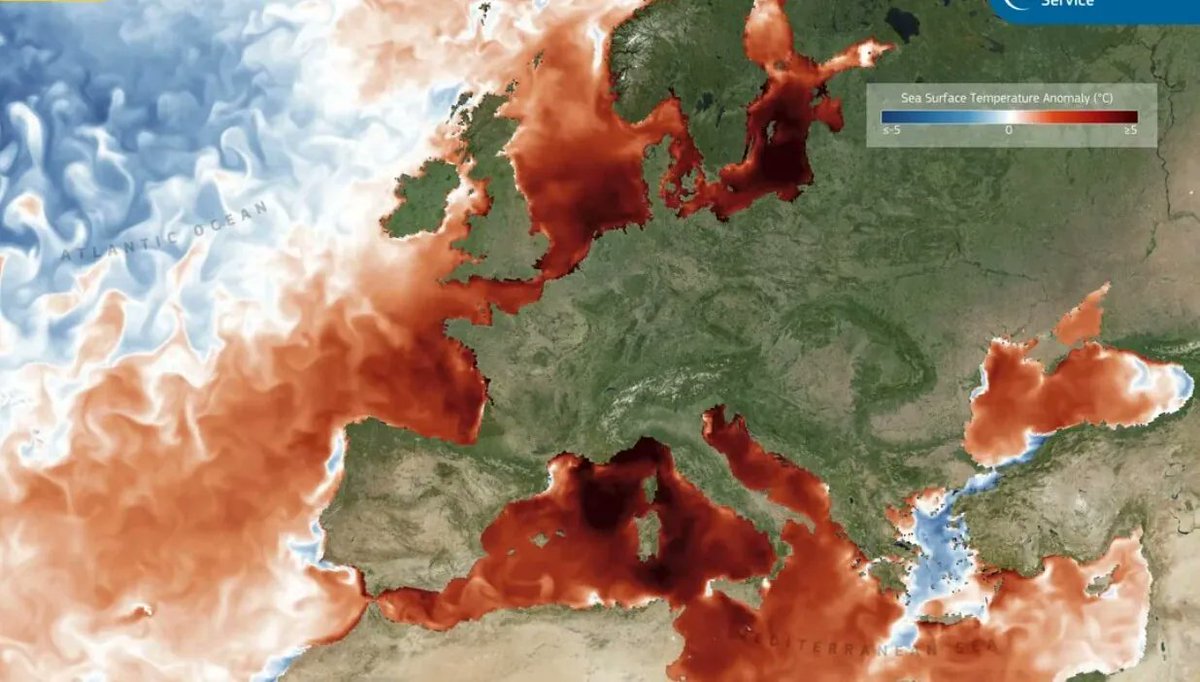 vaielettrico's tweet photo. #Oceani mai cosรฌ caldi. Le #temperature superficialiย hanno raggiunto il valore piรน alto mai registrato per questo periodo dellโanno. โก๏ธโก๏ธโก๏ธโก๏ธhttps://t.co/AvDWuwDjAI https://t.co/m4LpyluUoA