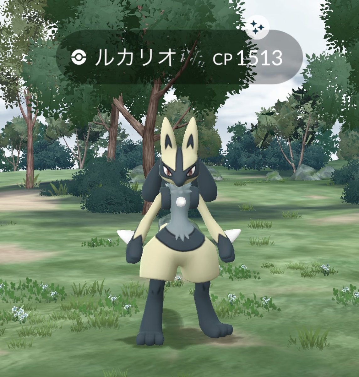 cham__mero's tweet photo. わあ😭ルカリオ様😭😭‼️ #ポケモンGO https://t.co/d9fiNo1v6W