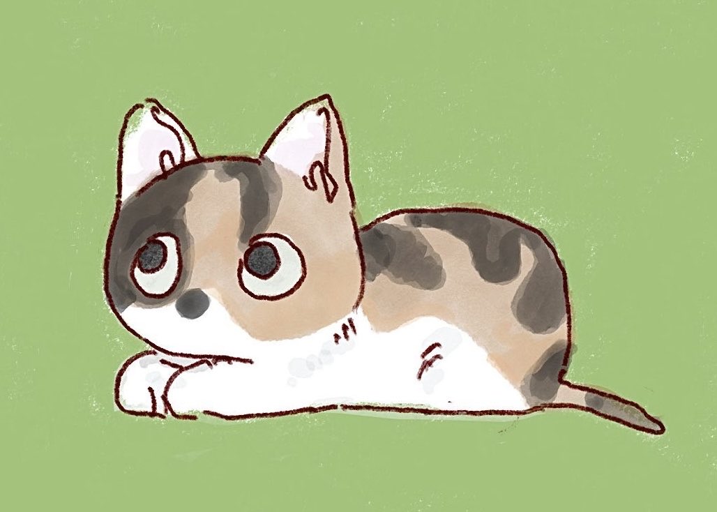 nokinoneko's tweet photo. https://t.co/KsqyYDs99k