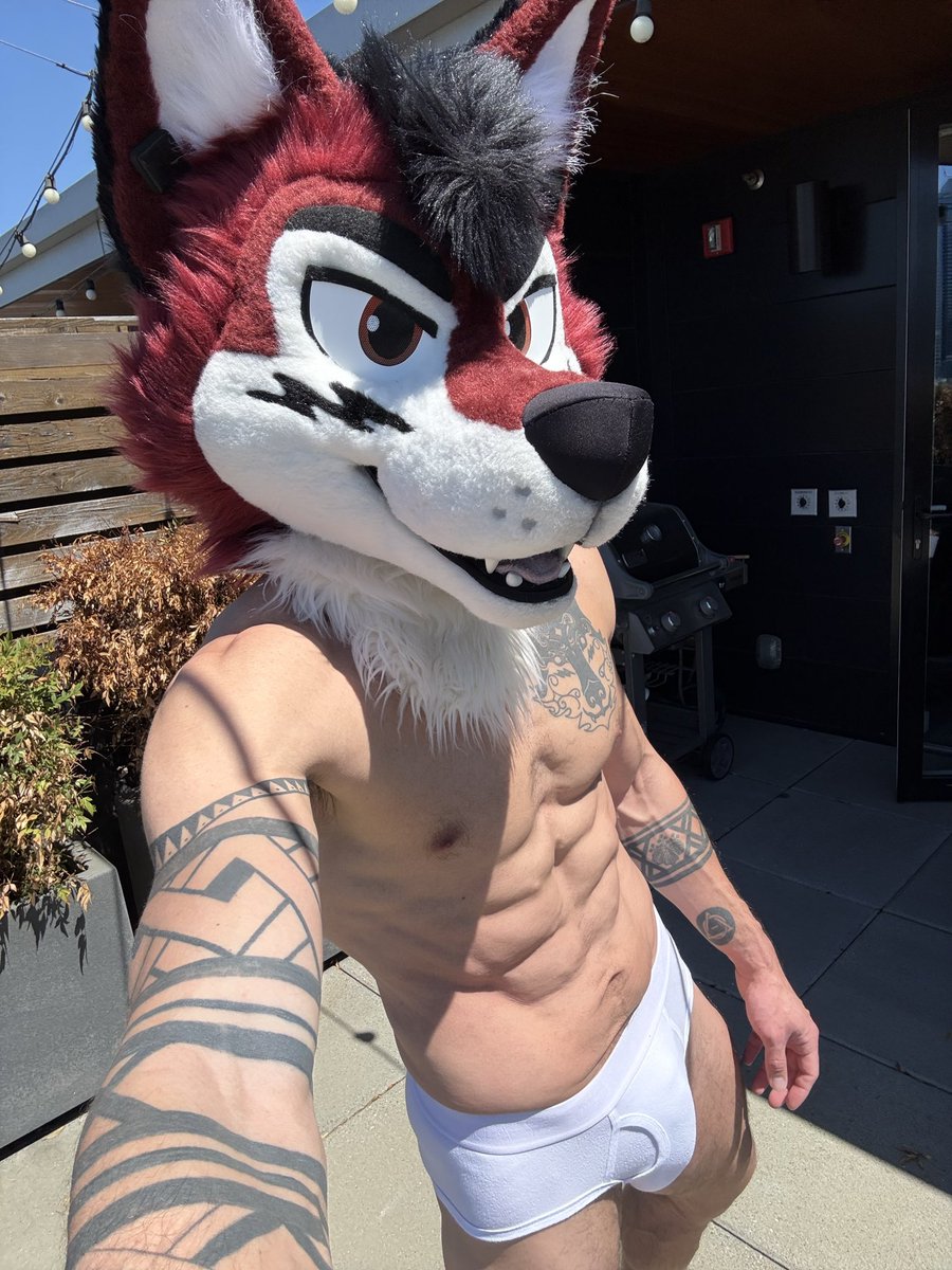 wolf_ezo's tweet photo. 🎂Happy Birthday to me! 🎂

Moots post underwear bulge pics👀

[Briefs+]

[White Briefs +++] https://t.co/36NNqfON5c