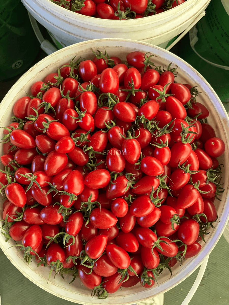 haweraphillips's tweet photo. Just tried the new organic cherry tomatoes from the local market—juicy, sweet, no weird aftertastes. Perfect for salads or snacking! Will definitely restock. https://t.co/1GTqmgKGle