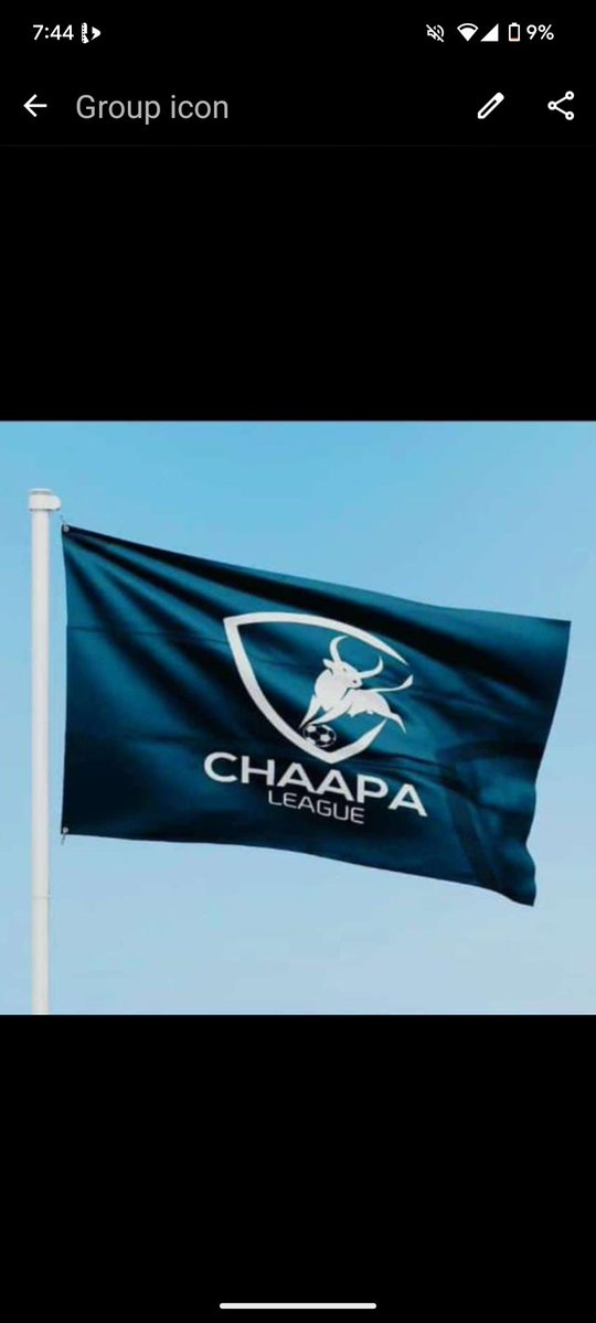 TianWoodworks's tweet photo. The only league that matters @ChaapaLeague https://t.co/Ftf8mJfzQt