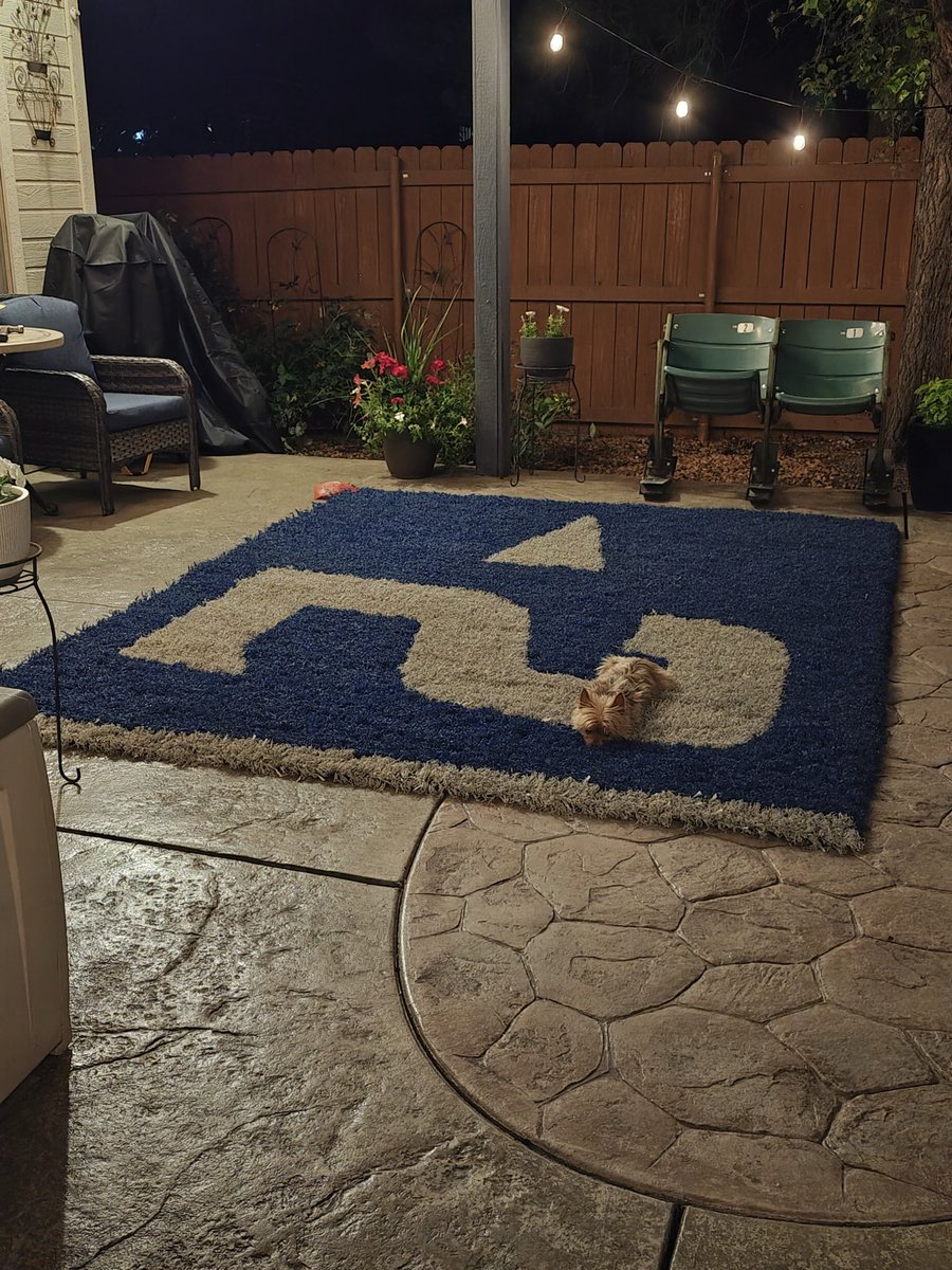 RJJR23's tweet photo. Russell loves The Blue maybe he can go after the tee someday. @BroncoSportsFB @BroncoSports @BN_Updates https://t.co/R5Y5saEzFG