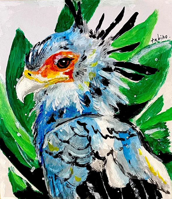ヘビクイワシ描きました。