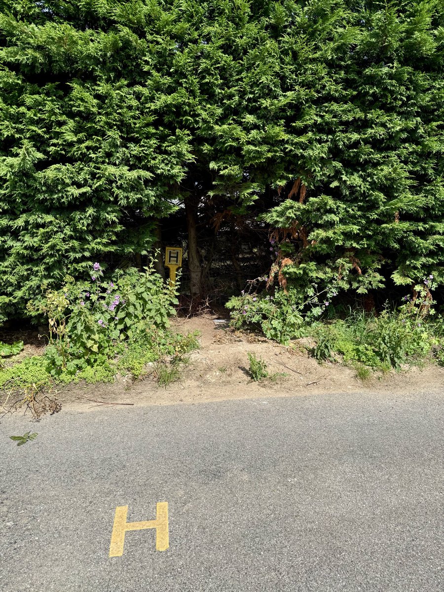 McindoeSue's tweet photo. #FireHydrantFriday https://t.co/4r7vqkmhyJ