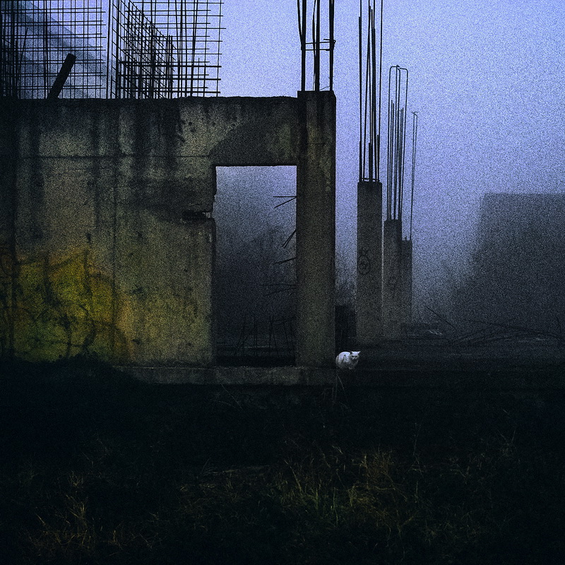 artlimitednet's tweet photo. Cat by Aleksandar Budjevac https://t.co/mGf8srJyUk
#domesticated #loneliness #digital #animal #color #photographylovers #mystery #colours #photography #camera #nature #classic #colorful https://t.co/LDK91MWD55