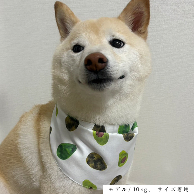 mirise's tweet photo. 夏の新作！
爽やかカラーのワンちゃん用バンダナ
が販売開始しました✨

S/M/L/XLの4サイズ。
小型犬、中型犬、大型犬と幅広くご使用いただけます。
ネコちゃんや超小型犬サイズも制作可能ですのでお気軽にご相談くださいませ！

ツリーにリンクを掲載しますね
↓

#ハンドメイド #犬服 #柴犬 https://t.co/AraoVUUScZ