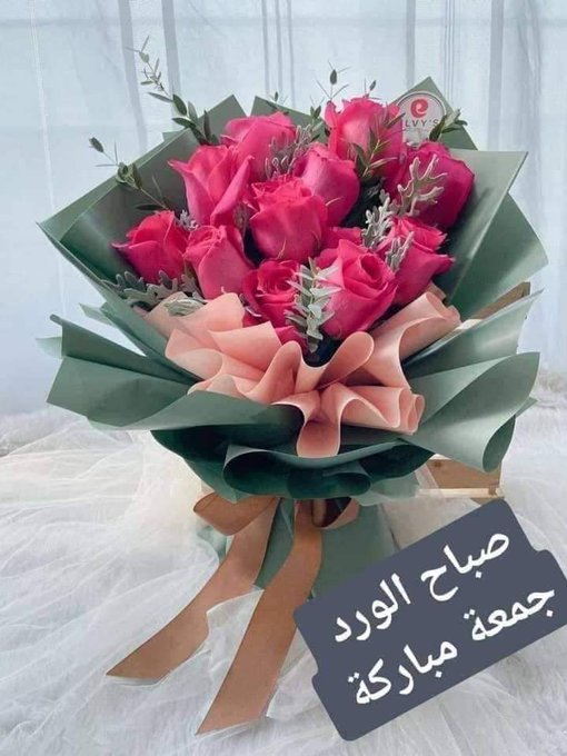 anaserbas's tweet photo. @salm1644 https://t.co/HsiWPD0DIe