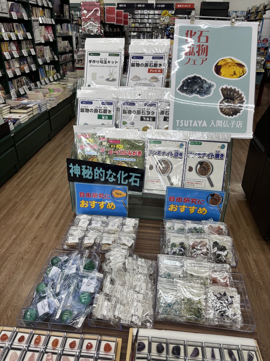 💓POPUP情報💓 #化石鉱物 9/15 期間限定で開催❣️ #アンモナイト や