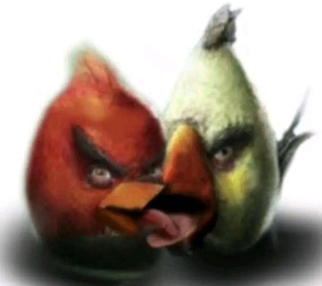 SPEETREN tweet media