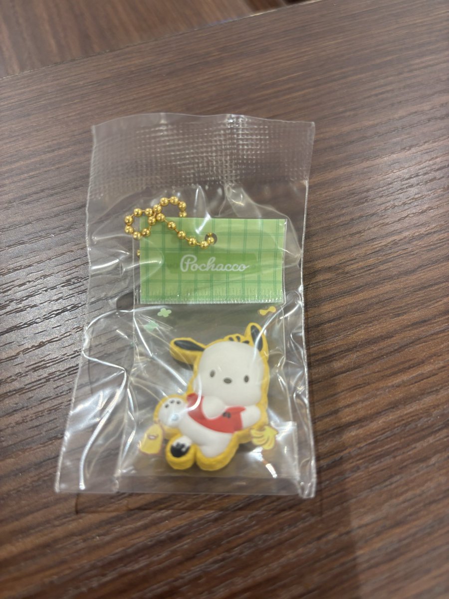 emichi1223's tweet photo. @sguifb 検索より失礼いたします。
当方ポチャッコ所持しております。シナモンと郵送にての交換は可能でしょうか？ご検討よろしくお願いいたします。 https://t.co/WCT5gWOGoZ