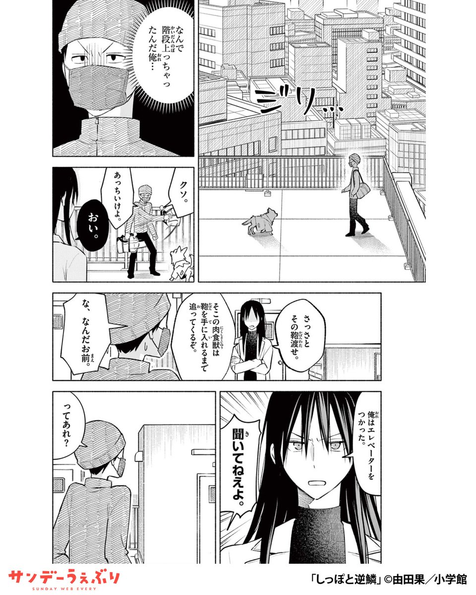 sundaywebry_PR4's tweet photo. 居場所をなくしたオオカミ少女と不器用な大人が、生きていくために二人で暮らす話
（6/7）

▼続きはこちら▼
https://t.co/FKfFkZIqGz https://t.co/6xD7lwUYyh
