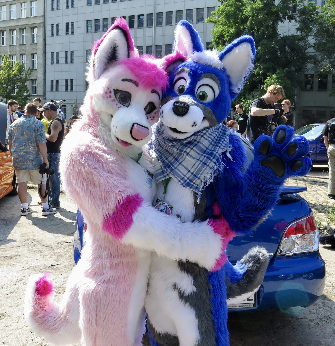 FluffyRodeo's tweet photo. Found some old photos taken at EF in 2014, first time I had my blue husky 💕🐾 Help me find their twitter usernames please 😂 @rexypup • Pics were taken by the cutest curly dog @Curlyhusky https://t.co/8BdwSJvcNC
