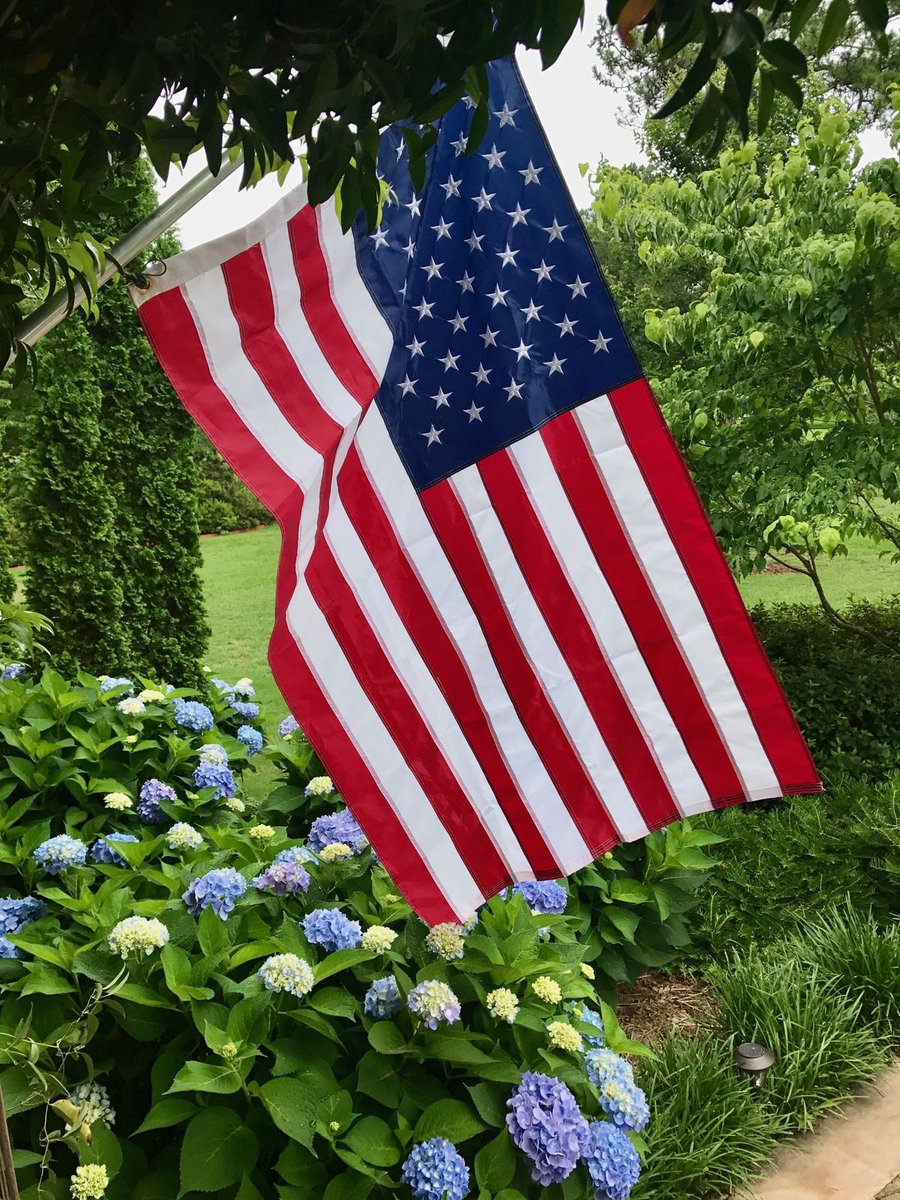 IbrahimMet68222's tweet photo. USA my heart ❤️🇺🇸 https://t.co/YgSrbk34FR