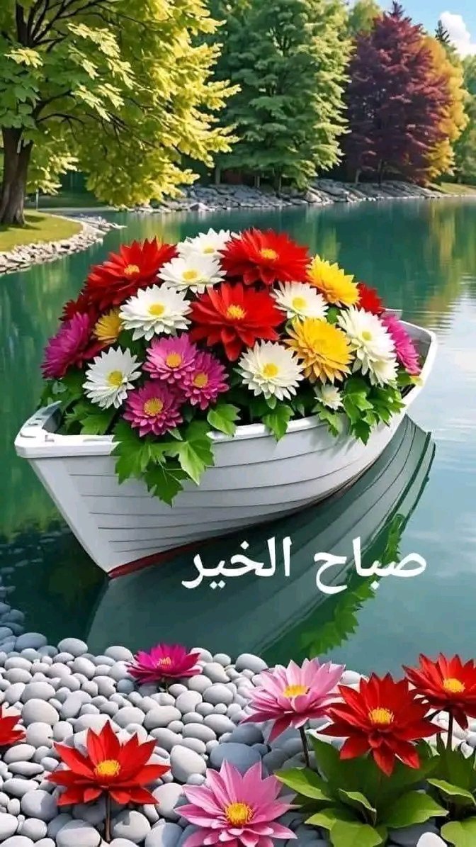 MorisRomani's tweet photo. @LbnenBnt1249 صباح الورد فاتيما ❤️🌞☕️💐🌻🍀 https://t.co/1PiH1p8SdR