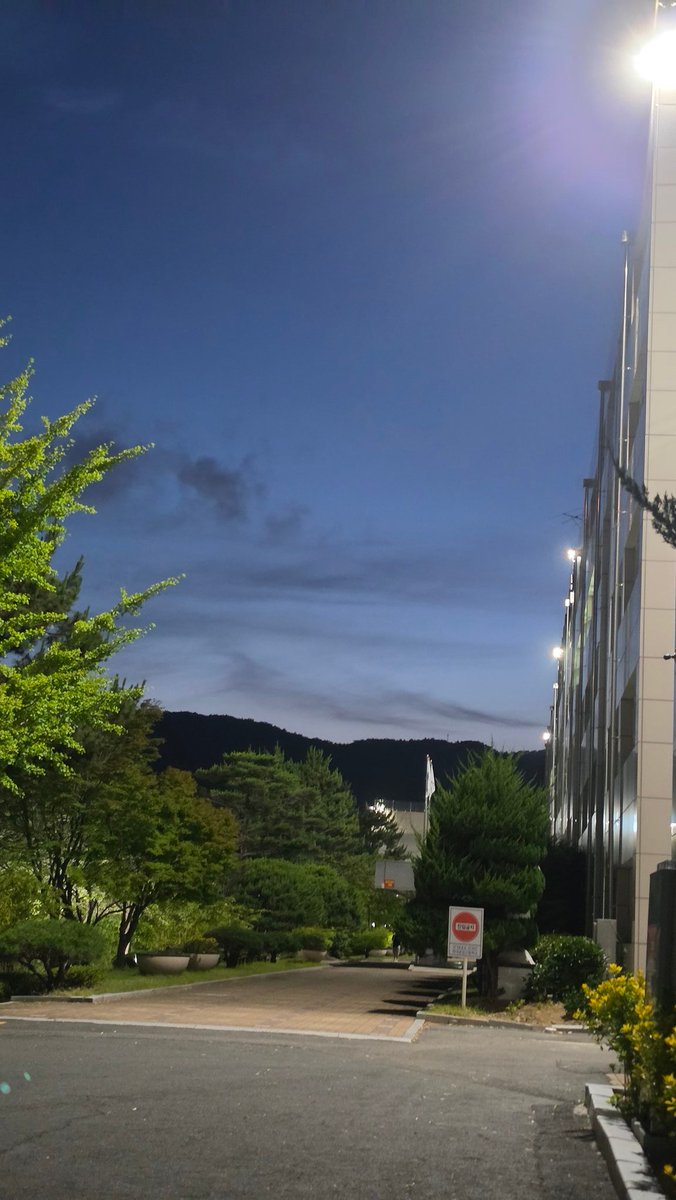 limo6831's tweet photo. 학교인데
하늘이ㄴㅁ이뻥요 https://t.co/HSk4Mu8JSo