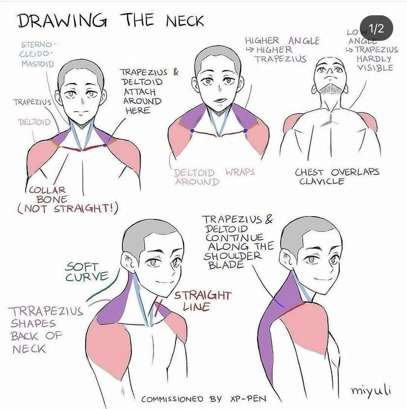 tryanglefor's tweet photo. drawing the neck https://t.co/sx7muEpqjQ