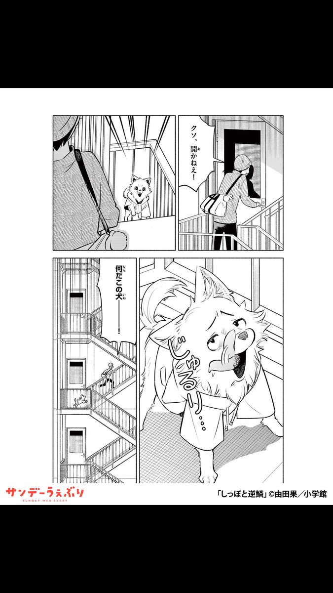 sundaywebry_PR4's tweet photo. 居場所をなくしたオオカミ少女と不器用な大人が、生きていくために二人で暮らす話
（6/7）

▼続きはこちら▼
https://t.co/tHSyOyYRA8 https://t.co/RZHzge6t5n