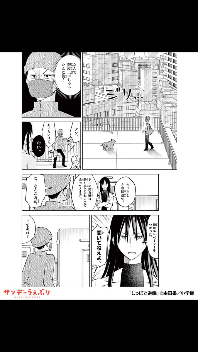sundaywebry_PR4's tweet photo. 居場所をなくしたオオカミ少女と不器用な大人が、生きていくために二人で暮らす話
（6/7）

▼続きはこちら▼
https://t.co/tHSyOyYRA8 https://t.co/RZHzge6t5n