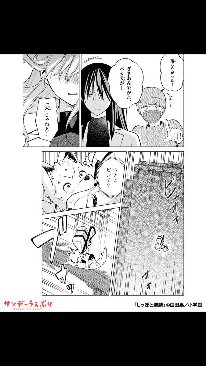 sundaywebry_PR4's tweet photo. 居場所をなくしたオオカミ少女と不器用な大人が、生きていくために二人で暮らす話
（7/7）

▼続きはこちら▼
https://t.co/tHSyOyYRA8 https://t.co/8yaEKKMtPW