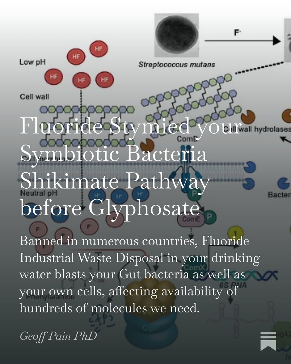FluoridePoison's tweet photo. #Shikimate
#Fluoride
#Glyphosate
#BreakingNews https://t.co/Gh0seJcsXJ