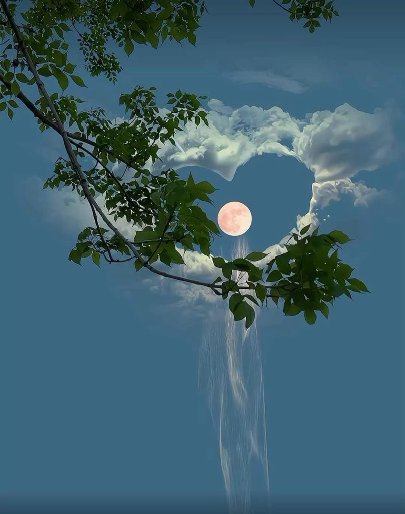 _Naturaee's tweet photo. The Beautiful Of Nature https://t.co/uxOyqGnSHW