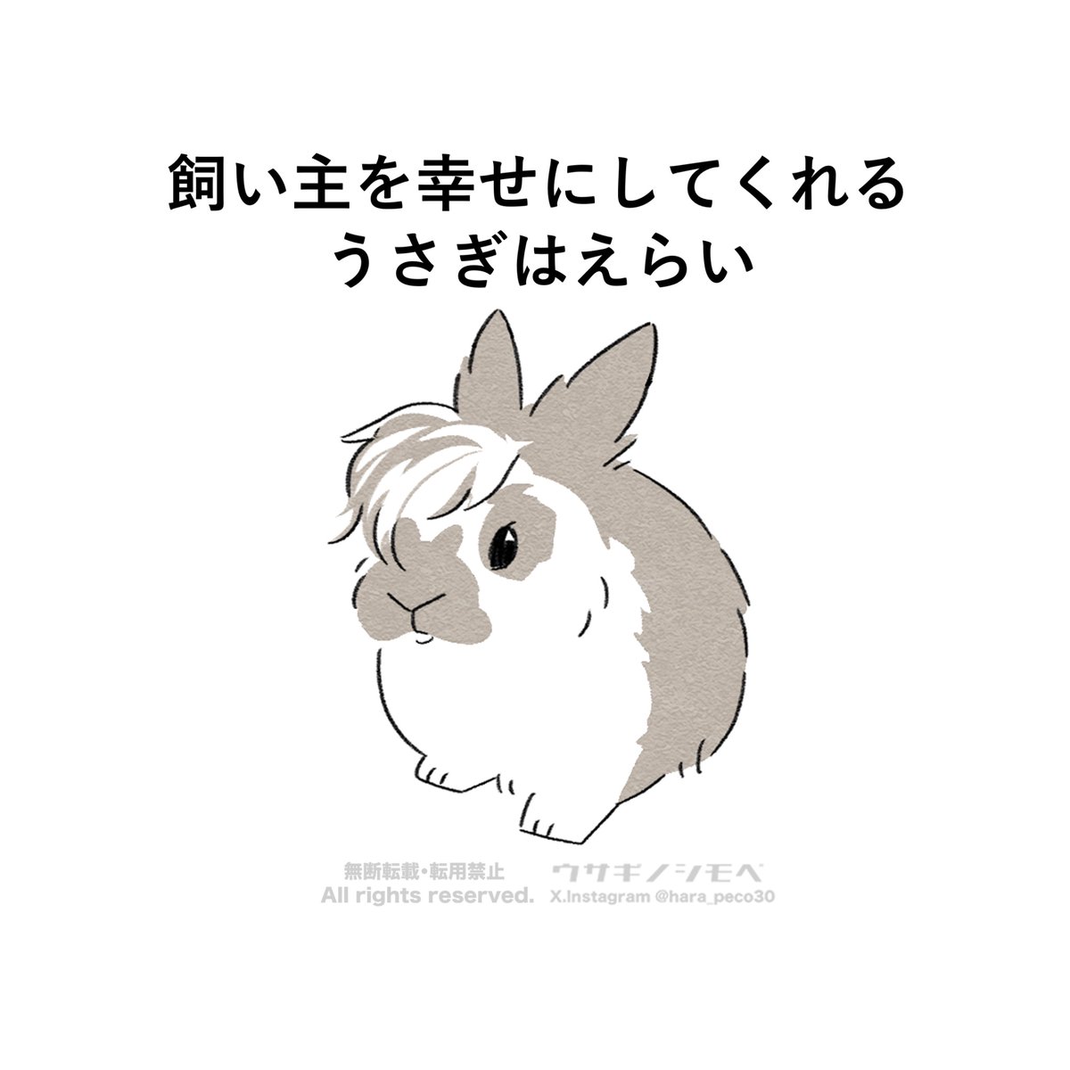 ウサギノシモベ (@hara_peco30) / Posts / X