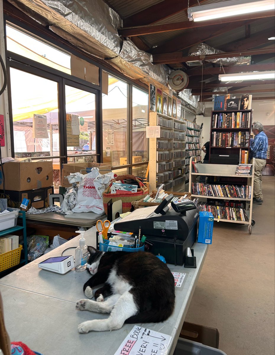 katnuur's tweet photo. cat at a local bookstore https://t.co/mPV9Sv4q5P