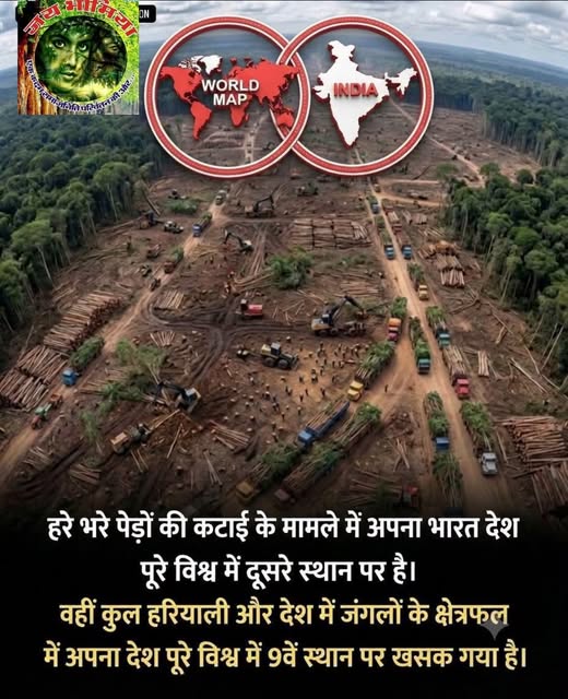 BirsaFc's tweet photo. हरे भरे पेड़ों की कटाई के मामले में अपना भारत देश पूरे विश्व में दूसरे स्थान पर है।
वहीं कुल हरियाली और देश में जंगलों के क्षेत्रफल में अपना देश पूरे विश्व में 9वें स्थान पर खसक गया है।
#BigBuyingStock
#VyasanMuktBharat
#GodMorningFriday
#AmarnathYatra https://t.co/ZnkTU20tRJ