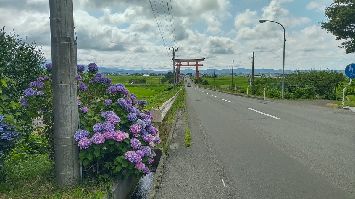 mnhxes's tweet photo. バスの時間に余裕があったので、大鳥居まで歩いてみた https://t.co/SiudcHP27W