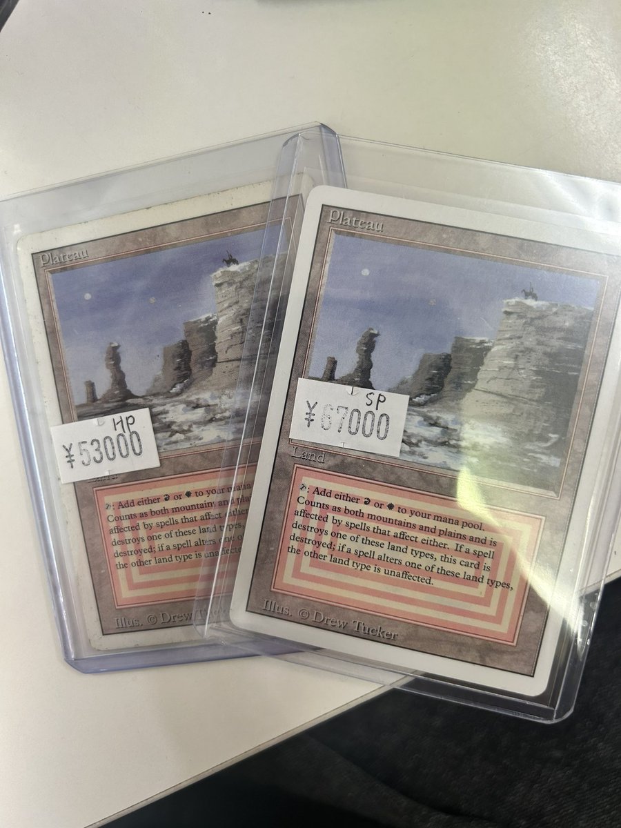 MTG用「Delight」アカウント tweet media