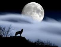 bbbsteve's tweet photo. #Freyaday  @WelshCauldron @peacereigns2 @WitchHazel74 @LeadfordLarry @dianeechambers @BklineBetty @SkadeDIA @Danny249512 
Freya day blessings Brothers and Sisters May your day and coming weekend be full of sunshine and laughter. Love and peace to all. https://t.co/grDWj1Q67e