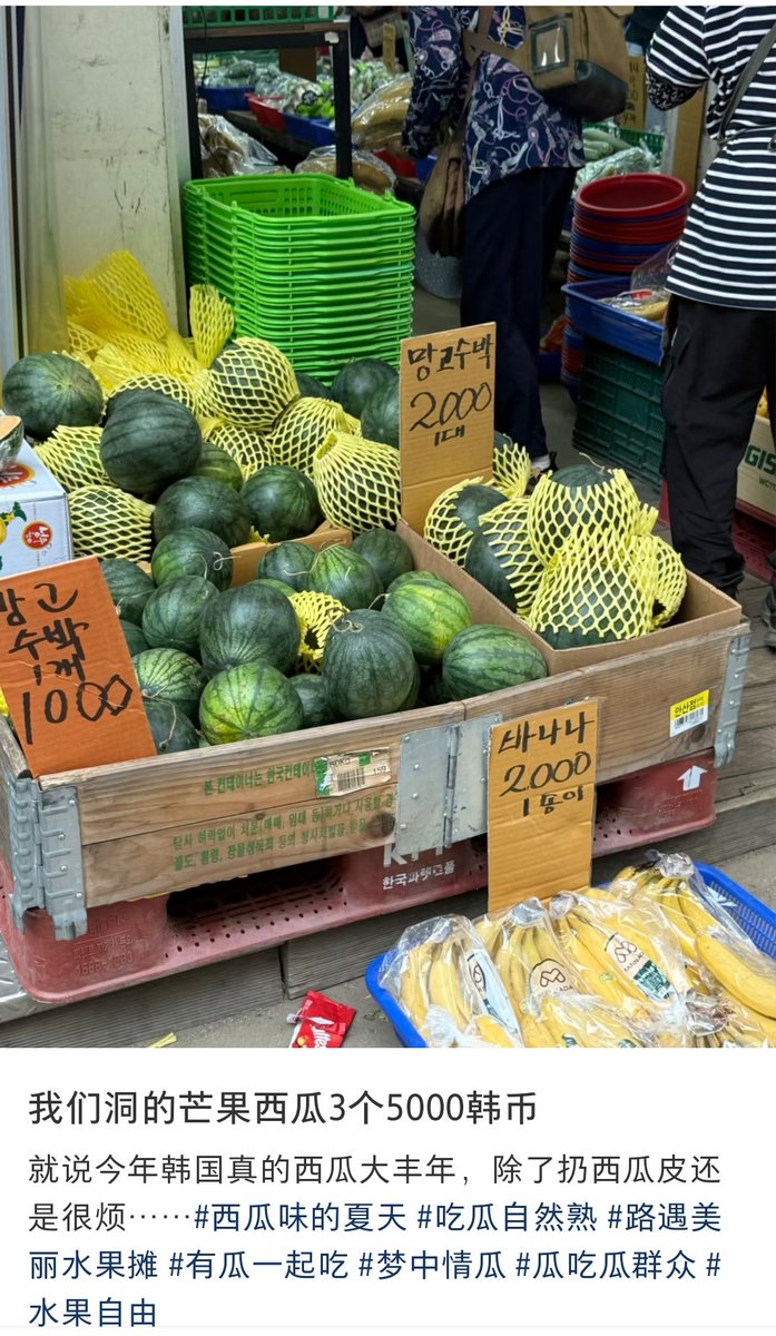 Beck2503's tweet photo. @lijian315 @Li665508Li 为什么要去超市买？中国超市和水果店里的西瓜也贵一点，韩国今年西瓜丰收，传统市场里甚至有5000韩元的西瓜，怎么会吃不起？很多在韩国的小红书用户都已经发了。 https://t.co/xXXfwzdGFn
